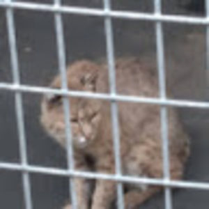 Meet your Posher, Richard thomas